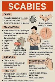 Image result for scabies transmission