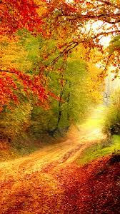 Explore and download tons of high quality fall wallpapers all for free! Autumn Phone Wallpapers Top Free Autumn Phone Backgrounds Wallpaperaccess