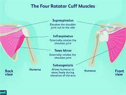 Common conditions that can result in chronic shoulder pain include rotator cuff disorders, adhesive clinical presentation includes diffuse shoulder pain with restricted passive range of motion on examination. Automated Diagnosis Of Shoulder Pain Using Regression Algorithms Springerlink