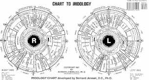 Dr Bernard Jensen Iridology Chart Iridology Chart Health