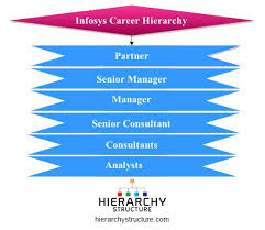 infosys career hierarchy chart hierarchystructure com