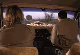 The latest gifs for #dumb and dumber. Lloyd Christmas Gifs Wifflegif
