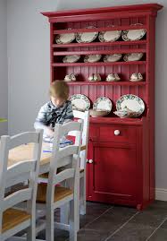 Desert Rose Paint Color Novocom Top