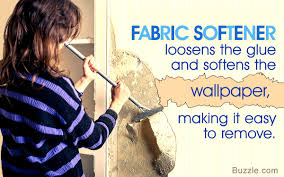 home remes for wallpaper removal