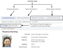 understanding org chart viewer and company directory