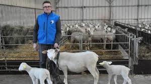 Il est membre du comité de veille écologique de la fondation pour la nature et l'homme. Ses Moutons Vont Faire La Tete Au Salon De L Agriculture