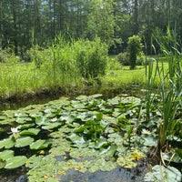 À faire près de forstbotanischer garten. Forstbotanischer Garten Eberswalde 1 Tip