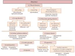 Image result for Loop Diuretic