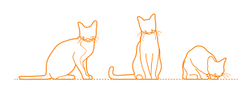 The singapura cat breed is believed to have originated on the streets of singapore. Singapura Cat Dimensions Drawings Dimensions Com