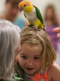Parrot show a hit with young audience at Athens library