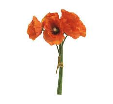 #alternative #art #bouquet #coquelicot #fleur #fleurs #flower #flowers #grunge #kenzo #klaproos #poppy. Bouquet De Coquelicots Loisirs Creatifs Vbs Hobby Service
