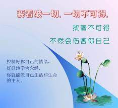 要看破一切 一切不可得 执著不可得 不然会伤害你自己 meaningful quotes pie chart chart
