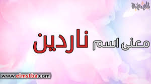 أسماء بنات تبدأ بحرف الهاء 2020 أسماء بنات جديدة بحرف ه من القرآن 2021 ومعانيها موقع المصطبة