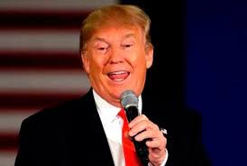 Felicita Calderón al Ejército por decomiso de marihuana en BC