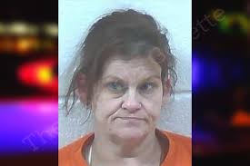 Brandy Norton — Jackson County Jail Bookings