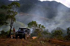 Penebangan hutan boleh melibatkan penukaran tanah hutan kepada ladang. Pembalakan Liar Tetap Terjadi Bagaimana Mengatasinya Mongabay Co Id