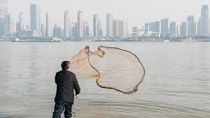 We did not find results for: Trung Quá»'c Thá»±c Thi Lá»‡nh Cáº¥m Ä'anh Báº¯t Ca 10 NÄƒm Tren Song DÆ°Æ¡ng Tá»­