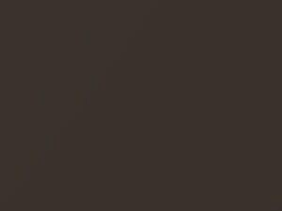 Image result for Walnut Brown 2021 Dodge