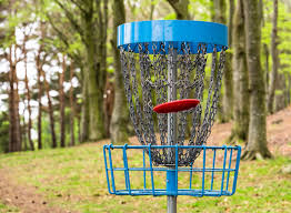 Image result for disc golf