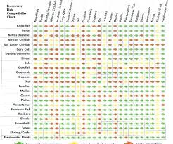 Goldfish Petco Discus Compatibility Chart Freshwater Fish