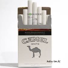 Tar 11mg and nicotine 0.9mg 100s soft pack: Camel White Smoking Room