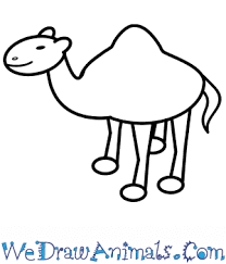 How to draw a cartoon camel. How To Draw A Simple Camel For Kids
