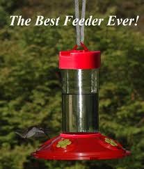 We tested the top picks so you can pick the best one for your yard. Dr Jbs Red Hummingbird Feeder With Yellow Flowers Best Feeder Ever