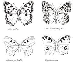 Alessas Blog Illustration Tagfalter Schmetterling Zeichnen Schmetterlingszeichnung Schmetterling Illustration