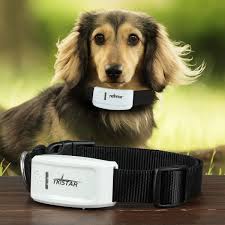 Pet Gps Gsm Tracker For Cats Dogs With Collar Real Time Tracking Free Web Platfrom Smart Iphone Android Phones App Tracking Electro Pet Gps Pet Tracker Pets