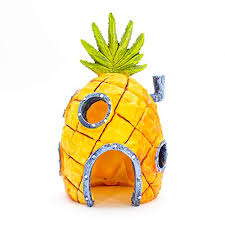 Maybe you would like to learn more about one of these? The Best Fish Tank Decorations 2021 Guide Animal Corner