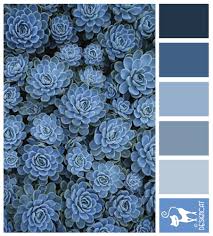 White paint colors have many undertones ranging from warm to cool so be sure to compare them to see which color palette works best for. Blue Sedum Navy Blue Grey Slate Pastel Designcat Colour Inspiration Pallet Color Schemes Color Inspiration Interior Paint Colors Schemes