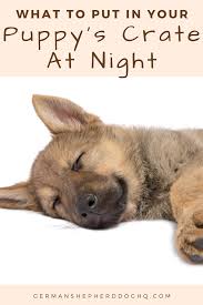 What To Put In A Puppy Crate At Night German Shepherd Dog Hq Puppy Crate Crate Training Puppy Potty Training Puppy