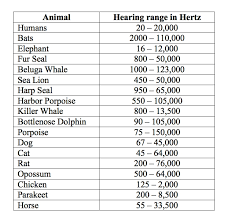 sounds test your hearing fascinating animals