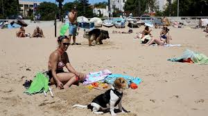 Total and new cases, deaths per day, mortality and recovery rates, current active cases, recoveries, trends and timeline. Lockdown Treft Nederlandse Vakantiegangers In Portugal Rtl Nieuws