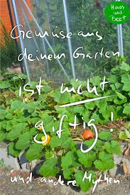 Mythen Uber Gemuse Anbauen Sie Stimmen Nicht Haus Und Beet Gemuse Anbauen Pflanzen Bepflanzung
