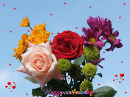 I love all of them. Love Flowers Pics Beautiful 1600x1200 Download Hd Wallpaper Wallpapertip