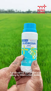 Bumrosai 555SE