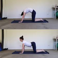Let your stomach fall towards the floor (increasing the arch in your low back) and allow your shoulder blades to fall together (move towards the spine). Stretches For A Happy Spine Cat Cow Pose Kt S Massage Yoga