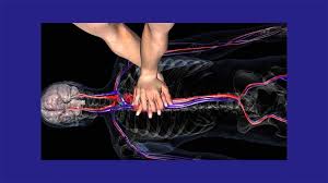 Image result for Chest Compressions