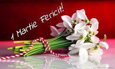 Cu siguranta ii va face placere atat sa le. 25 MÄƒrtisoare Ideas In 2021 FelicitÄƒri Flori Flori De PrimÄƒvarÄƒ