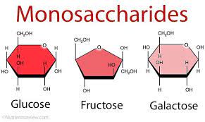 Monosaccharides Simple Sugars Definition List Examples Of Foods Biochemistry Biology Lessons Medical School Inspiration