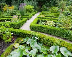 Opinion Oliver Sacks The Healing Power Of Gardens Gorgeous Gardens Botanical Gardens Garden Essentials