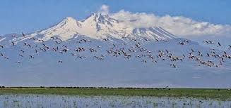 Kayseri Fotograf Kulubu Flamingolar Ve Sultan Sazligindan Erciyes Sultan Fotograf Manzara