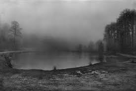 Image result for Wild Rose 1999 Tiburon