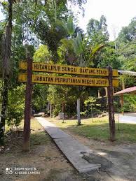 Also known as the johor forestry department in english. Hutan Lipur Sungai Bantang Bekok 2021 All You Need To Know Before You Go With Photos Tripadvisor