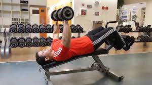 Decline Dumbbell Press