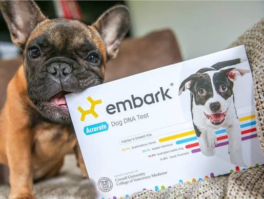 Embark Breed Identification Dog DNA Test Kit 