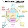 Upper quadrant right upper quadrant right lower quadrant common prefixes of many medical terms prefix unibihemipanpolya. Https Encrypted Tbn0 Gstatic Com Images Q Tbn And9gcrqkfktm6kphcc T Hhdr75utwqsgqz7 O2e43tdpbzai28kcw3 Usqp Cau