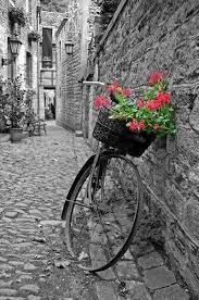 Black And White Photography With Red Color Splash Pin By Otrgirl Carin On Colour Splash Color Splash Photography Splash Photography Color Splash