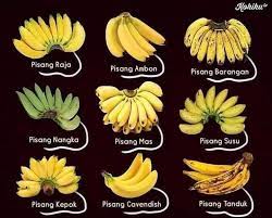 Pisang cavendish memiliki warna kulit kuning yang halus dan merata, serta ukuran yang cukup. Jenis Jenis Pisang Di Bumi Sarawak Aritok 2 Facebook